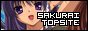 Sakurai Club Top List
